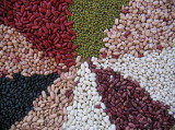 Beans and Pulses