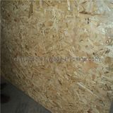 OSB Timber