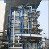 Solid Waste Burned Steam Boiler