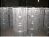 Glavanized Grassland Mesh/ Animal Grassland Mesh Fence Netting