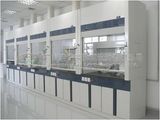 Steel-Wood Fume Cupboard