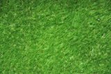 Fake Grass for Pets