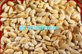 2015 High Quality and Factory Price Pumpkin Seeds