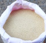 First Class Natural White Sesame Seeds for Sale