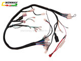Ww-8807 Cg125 Motorcycle Wire Harness, Motorcycle Part