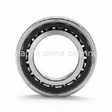 Angular Contact Ball Bearing (7006)