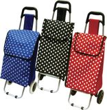 Shopping Trolley (CJ-S1005)