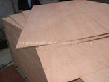 Bintangor Hardwood Plywood