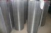 Welded Wire Mesh