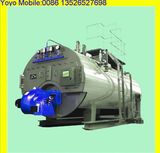 Super Quality Gas Steam Boiler (WNS)