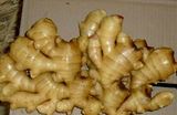 Fresh Ginger