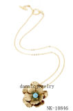 Fashion Jewelry Necklace (NK-10846)