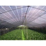 Anti-Insect Netting for Agriculture Greenhouse