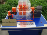 Educational Motor Generator Compressor and Pump Model, Demonstrational Model, Teaching Utensil