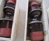 CD1 Md1 Electric Hoist Motor