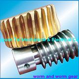 High Precision Worm Gear