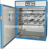 Small Egg Incubator (E36)