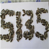 Sunflower Seeds 5009