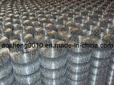 Hot Dipped Galvanized Sheep Wire Netting