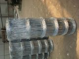 Galvanized Wire Mesh