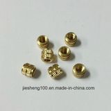 Round Brass Nut Manufacturer