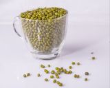 2015 Chinese Green Mung Bean Seeds for Wholesale