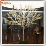 Latest Design Home Decor Artificial White Dry Tree (WT11)