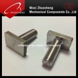 Stainless Steel A2 A5 OEM T Bolt with ISO Certificate