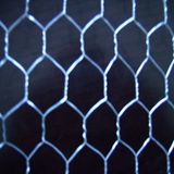 Hexagonal Wire Netting