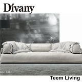 Divany Contemporary Furniture/Viewpoint Leather Furniture D-60