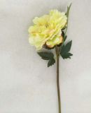 Silk Single Stem Peony Flowers for Decoration