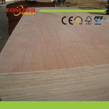 Waterproof Plywood/ Plywood/ Good Plywood Price