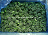 IQF Hot Sell Frozen Spinach