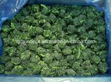 IQF Hot Sell Frozen Spinach