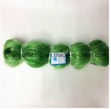 Green Color Nylon Monofilament Fishing Net