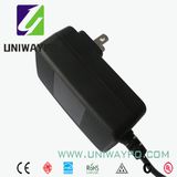 3W Switching Power Supply (USA/JP plug)