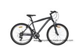 MTB Bike (26MTB1509)