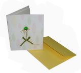 Video Greeting Cards/Holiday Greeting Cards/Greting Card