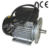 Single Phase Electric Motor (YL-(71~100))