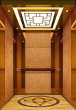 Delfar Passenger Elevator