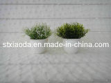 Artificial Plastic Grass Bonsai (L0338)