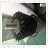 Green PP Body of Black Nylon Stainless Steel Industrial Brush (BR-QSLL-0.25)