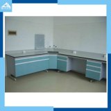 Lab Table/Workbench