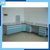 Lab Table/Workbench