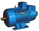 Hosting and Metallurgy Motor