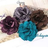 Fashion Hair Clips/Hairpin/Hair Accessory (BD15368AA)