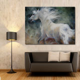 Horse Custom Framed Canvas Prints