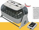 Egg Incubator