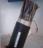 Telecommunication Cable (HYAC or HYATC)