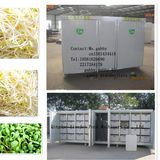 Animal Fodder Making Machine / Barley Sprout Machine